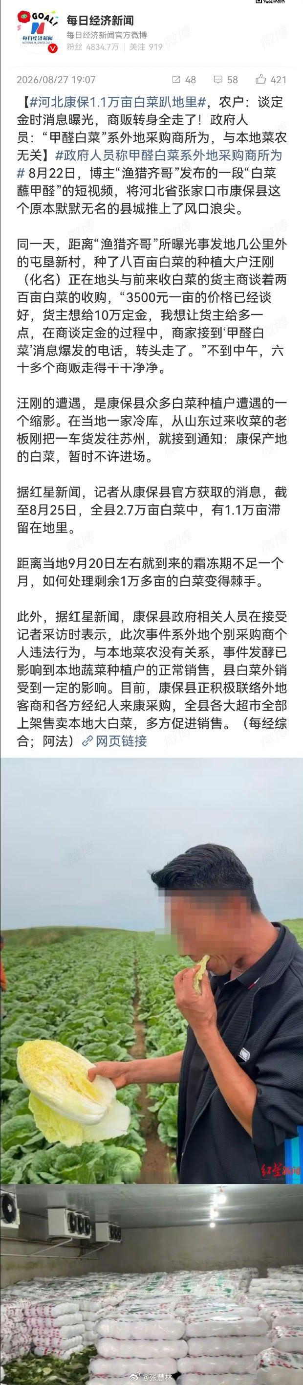 河北康保1.1万亩白菜趴地里 目前全国多地农贸批发市场都对来自涉事地区的大白菜发