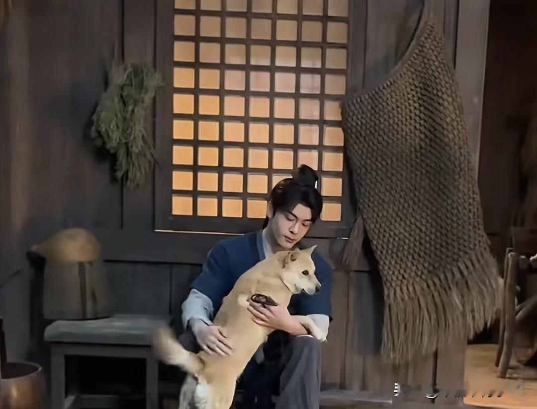 见过啃老的第一次见啃狗的

这大黄出道六年作品超二十部，一些演员看了都得酸到破防