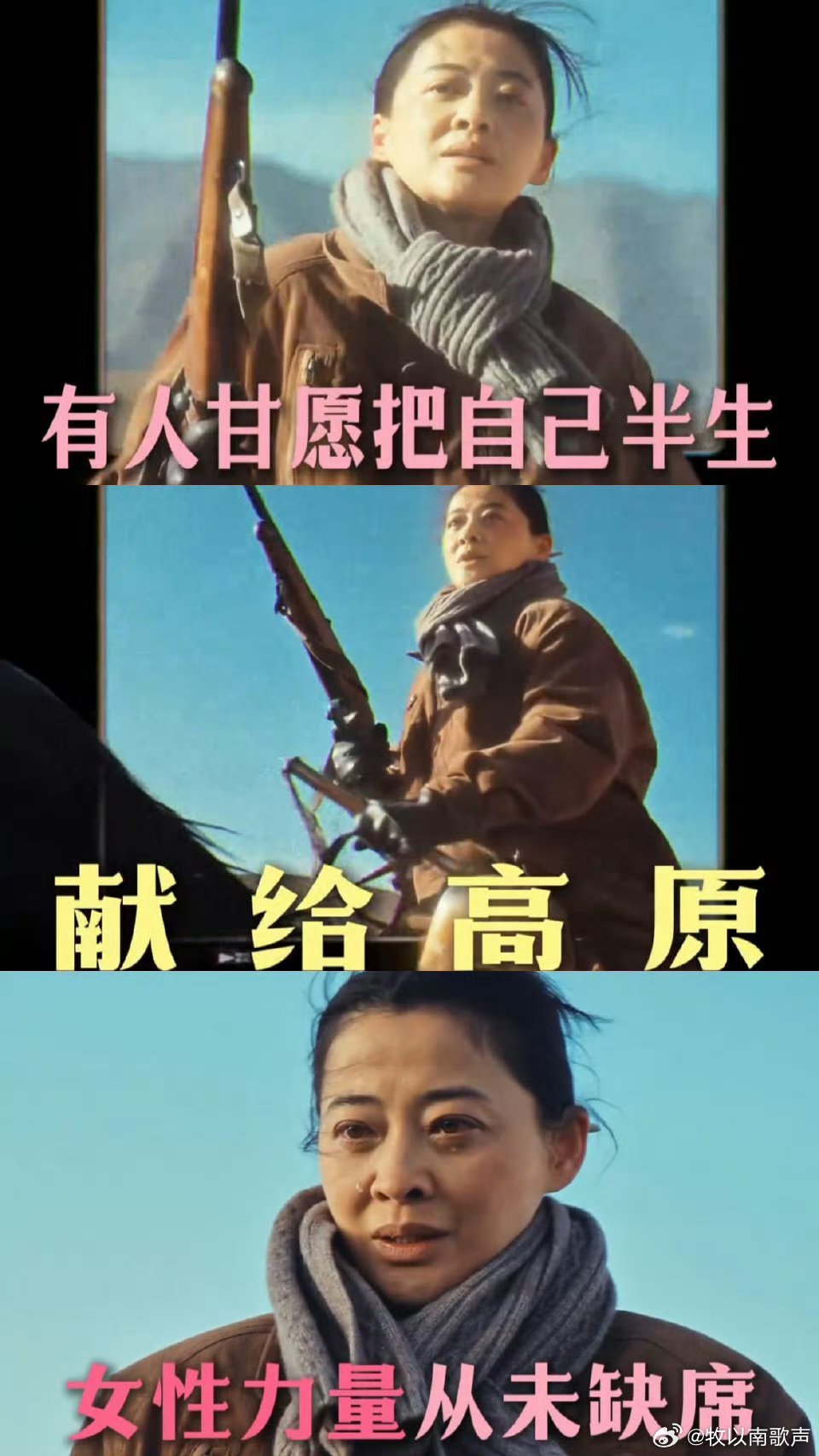 生命树里看见了我爸我妈 原来生命树里的故事就是我爸妈那代人的真实写照，扎根高原的