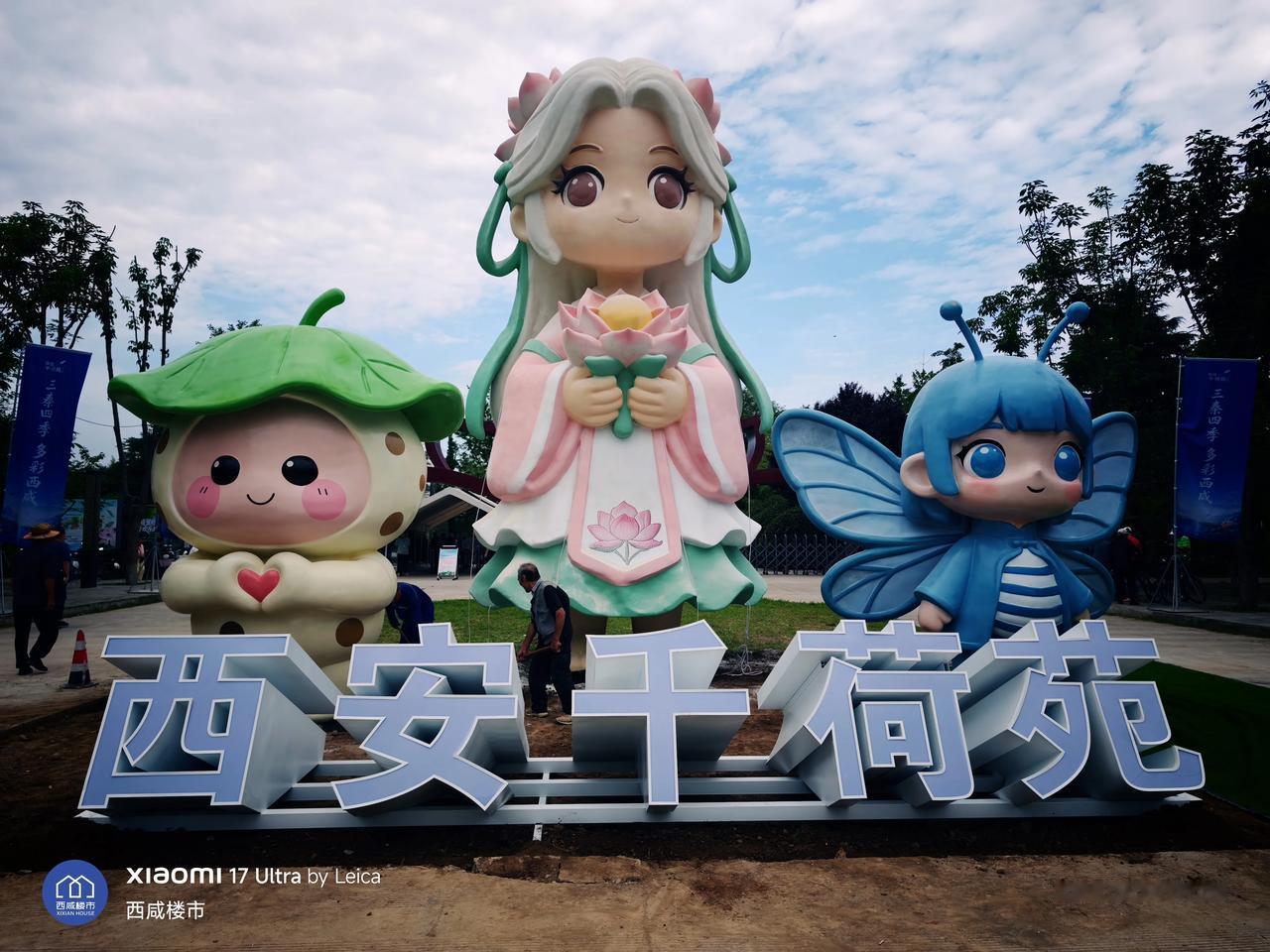 沣东新城新增一处打卡点，暑假带娃来看荷花！