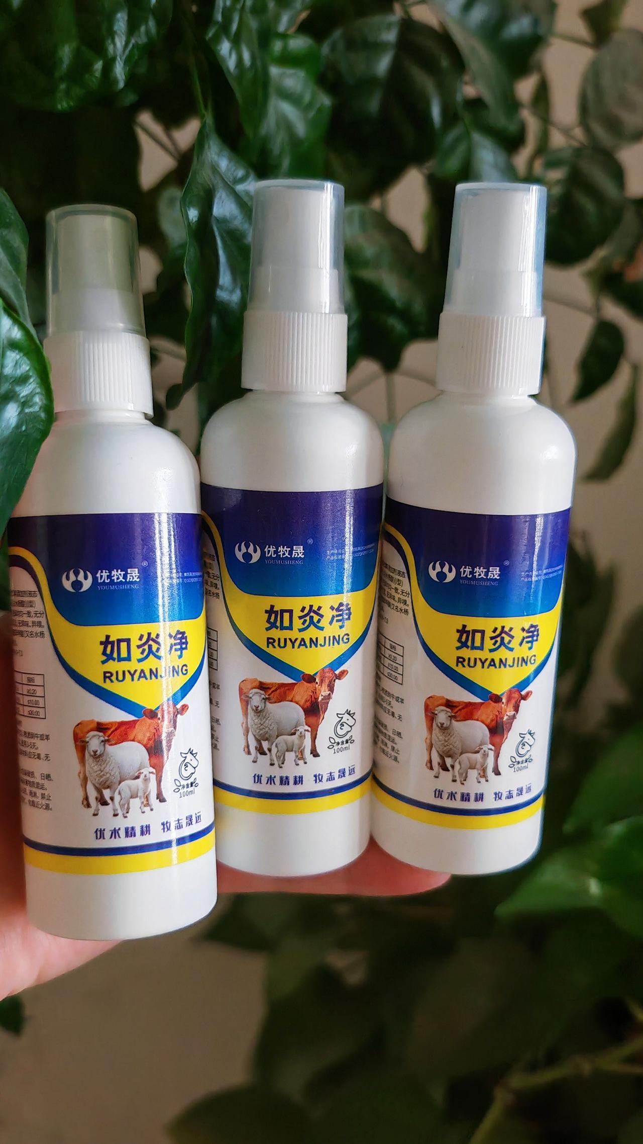 养羊人 牛羊养殖 农村养羊