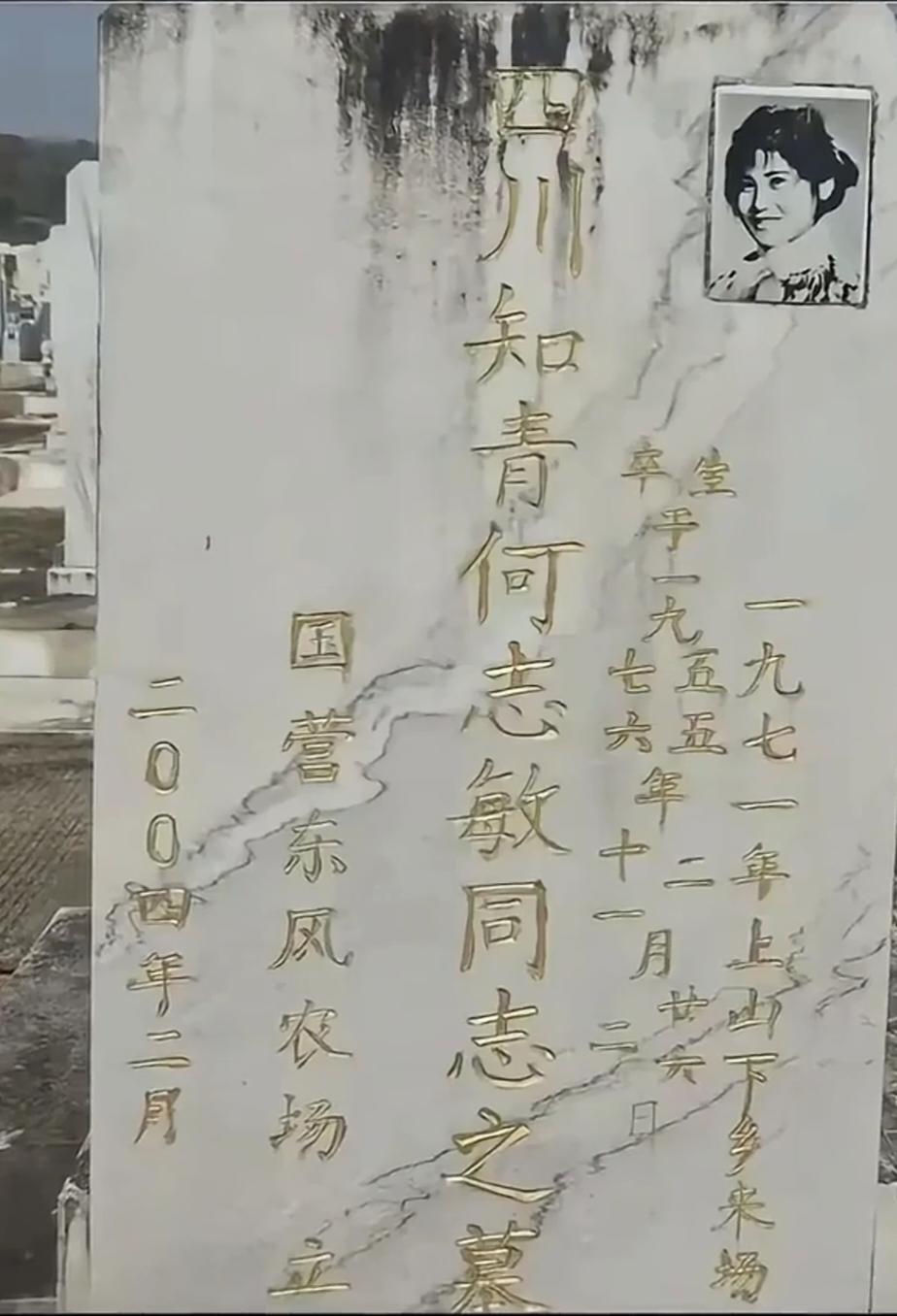 忽然看到一位博主的视频，很是感慨。1955年生，1976年死，也就活了21岁。生