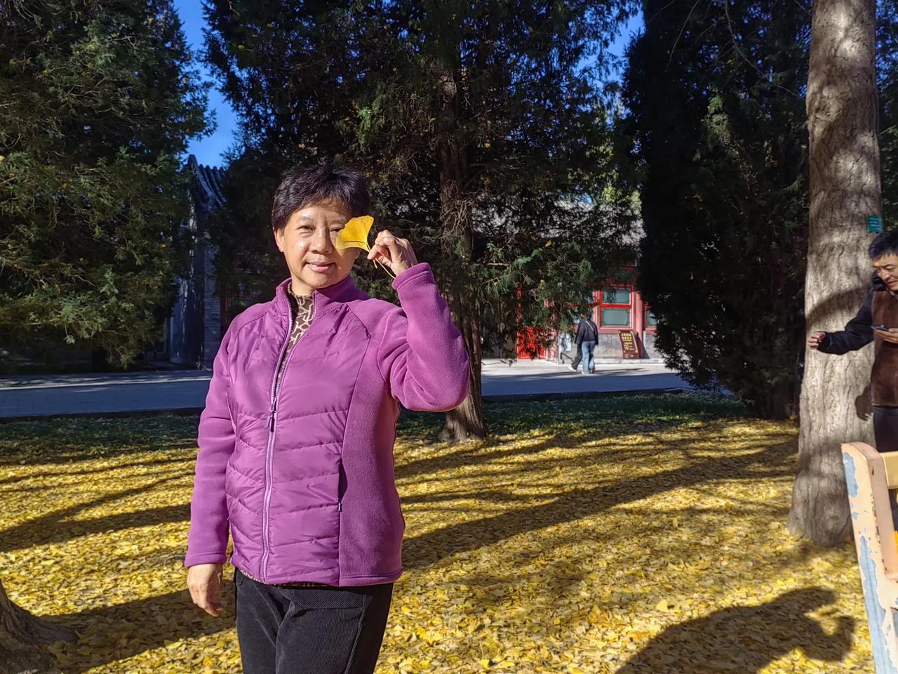 早就在网上看到晒图，说地坛公园的银杏大道是赏银杏叶的绝佳之处，就心心念念着一直想