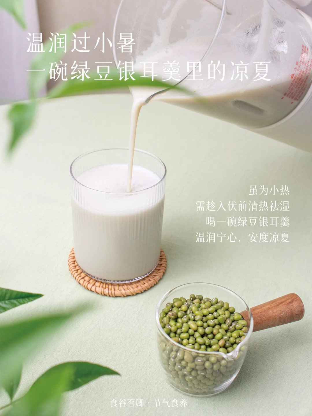 小暑｜温润沁凉，一杯绿豆银耳羹里的凉夏🌿