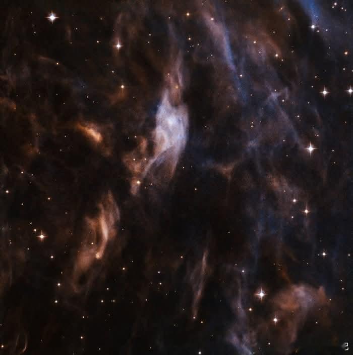 一个由巨星吹出的宇宙泡——Sh2-308  凝视银河系中最令人惊叹的宇宙泡之一：