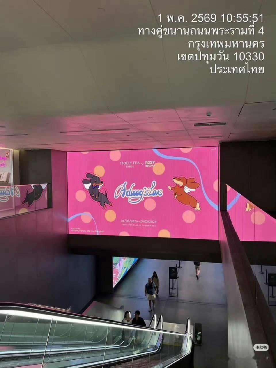 doe点点泰国地广来也 