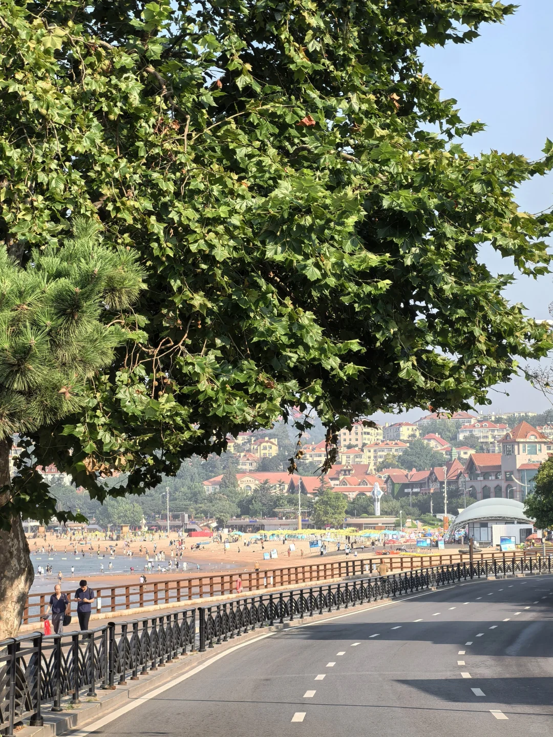 8.15青岛街头实况 温度好像缓慢的下降了