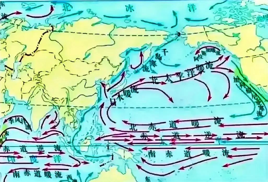 日本人真是狼子野心，良心坏透了。

日本排放核污水的方案出来了。日本人为了减少放