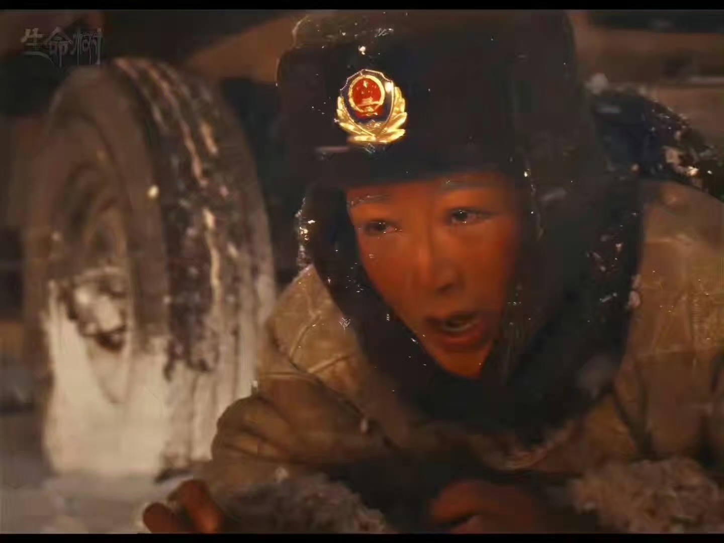 杨紫生命树泪目场景 文化工作者要有文化，这样才有对角色的深层次理解表演才更动人杨