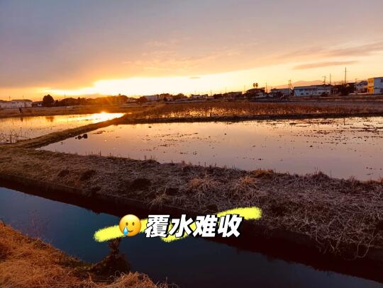 日本经济真的复兴了吗🤨