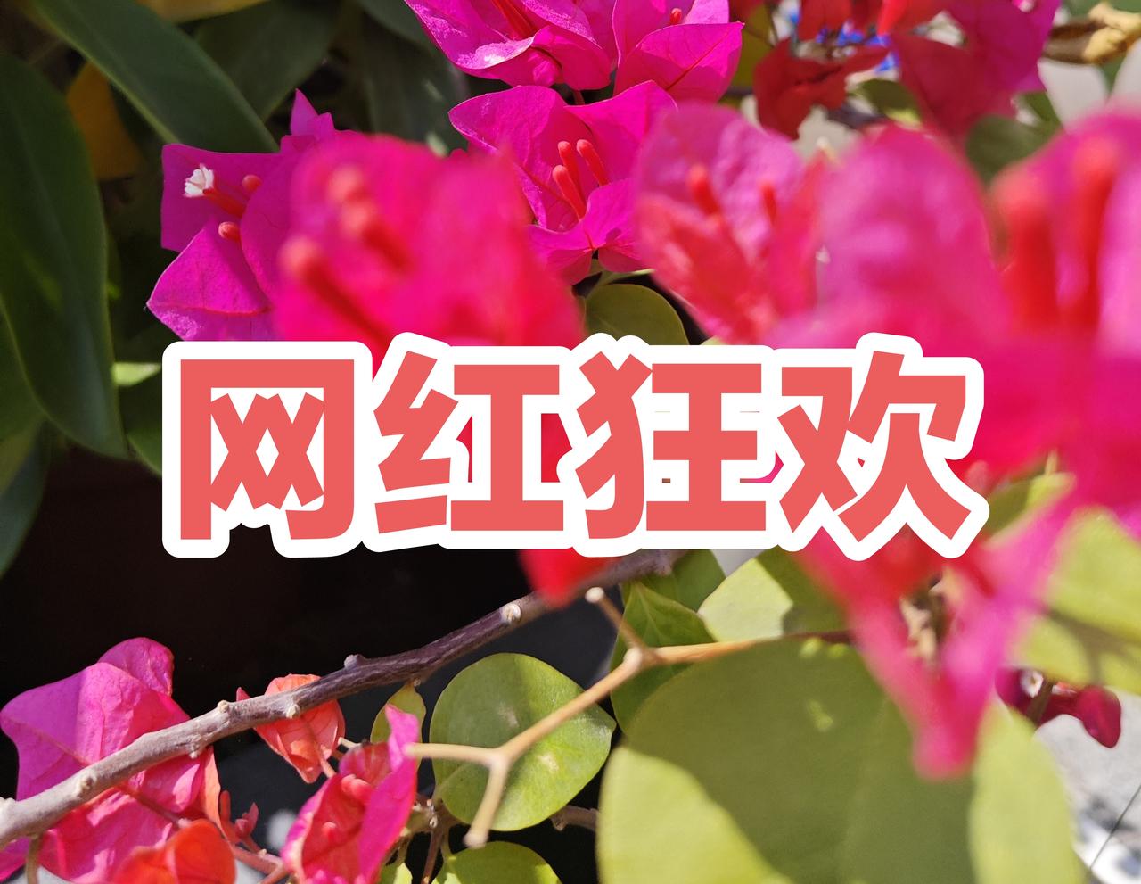 今天，一个即将退休的老同事感慨地说，自己真的落伍了，越来越多的东西看不明白。成千