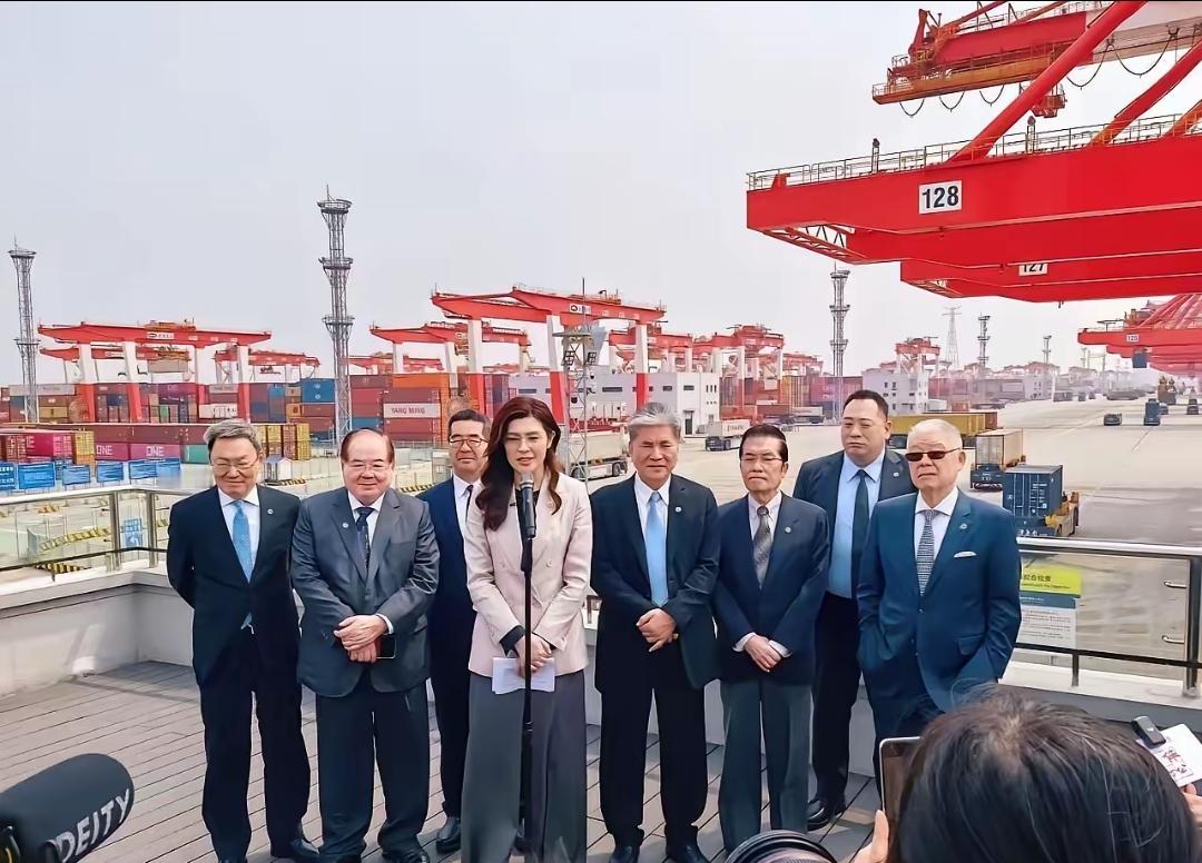 郑丽文代表团参观了洋山港之后，个个都不自信了。

洋山港，上海国际航运中心的核心