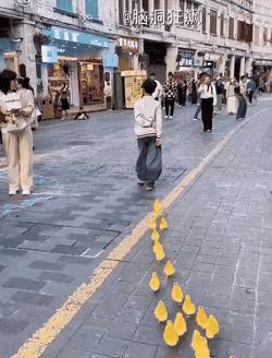 鸭子比人懂规矩，自觉排队走。人一窝蜂往前挤，谁也不让谁。[呲牙]
