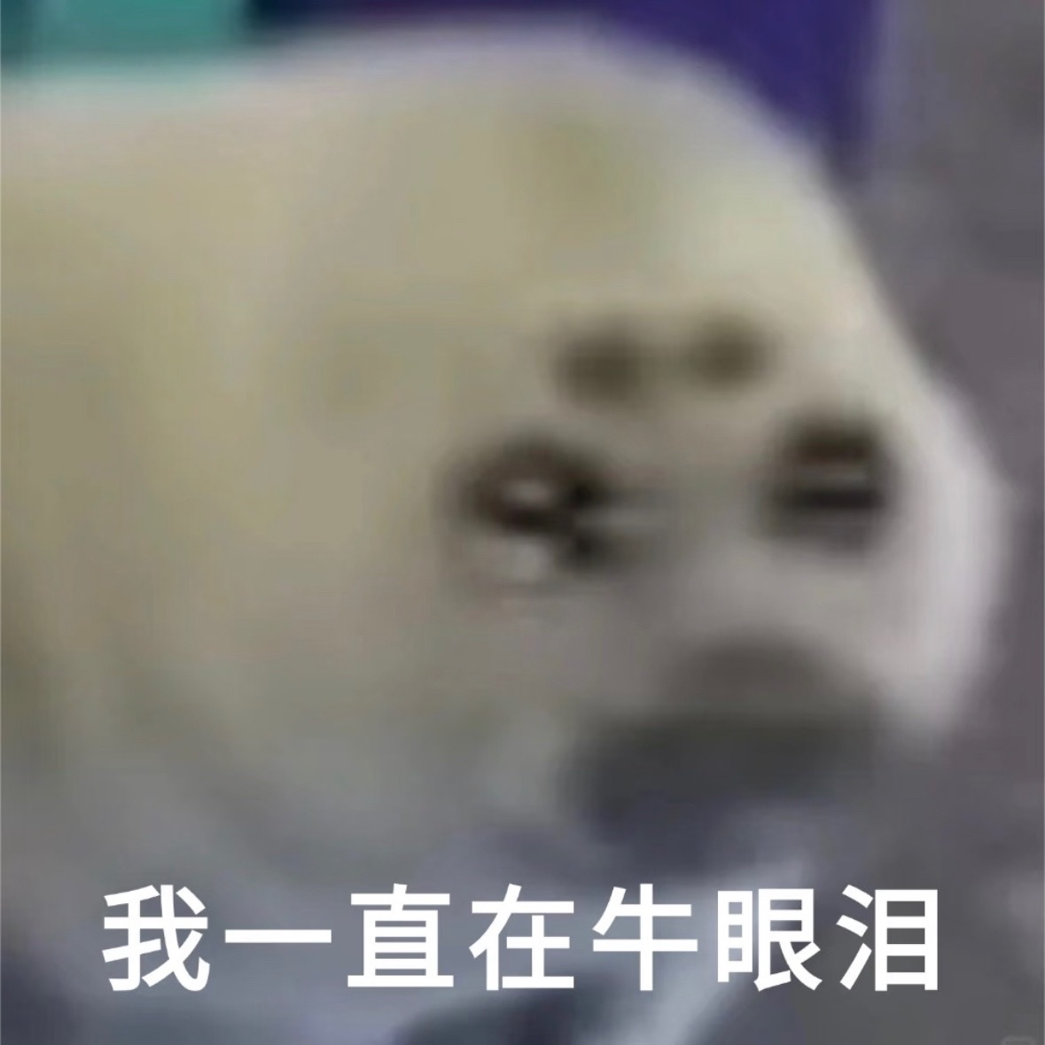 给派派做vj时看到歌词特别有感。我：让你粉丝起飞的时候在脖子上挂个纸巾盒，我怕你