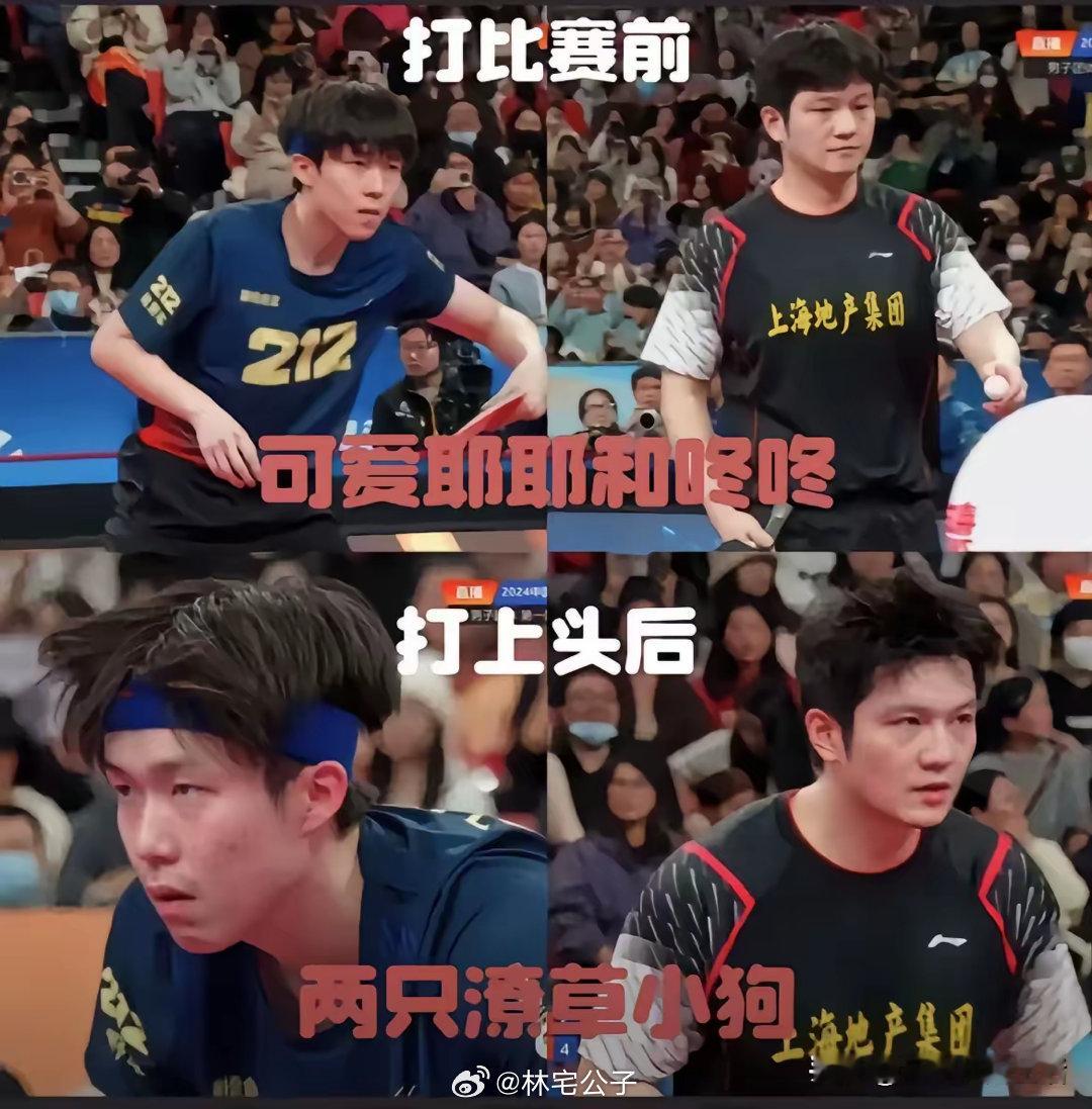 呼叫龙队，速归呀，你不在家，房倒屋塌，，你的小坏蛋弟弟们把你家拆的只剩下柱子了，