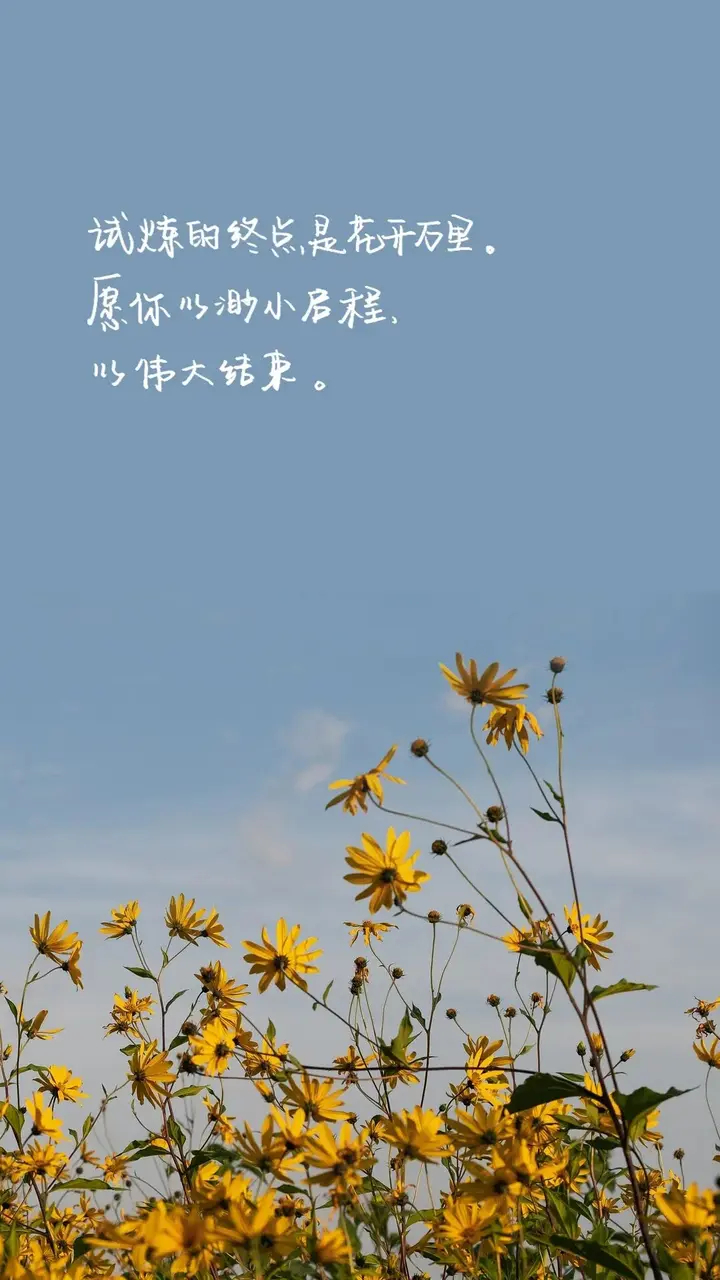 新的生活方式 ​​​