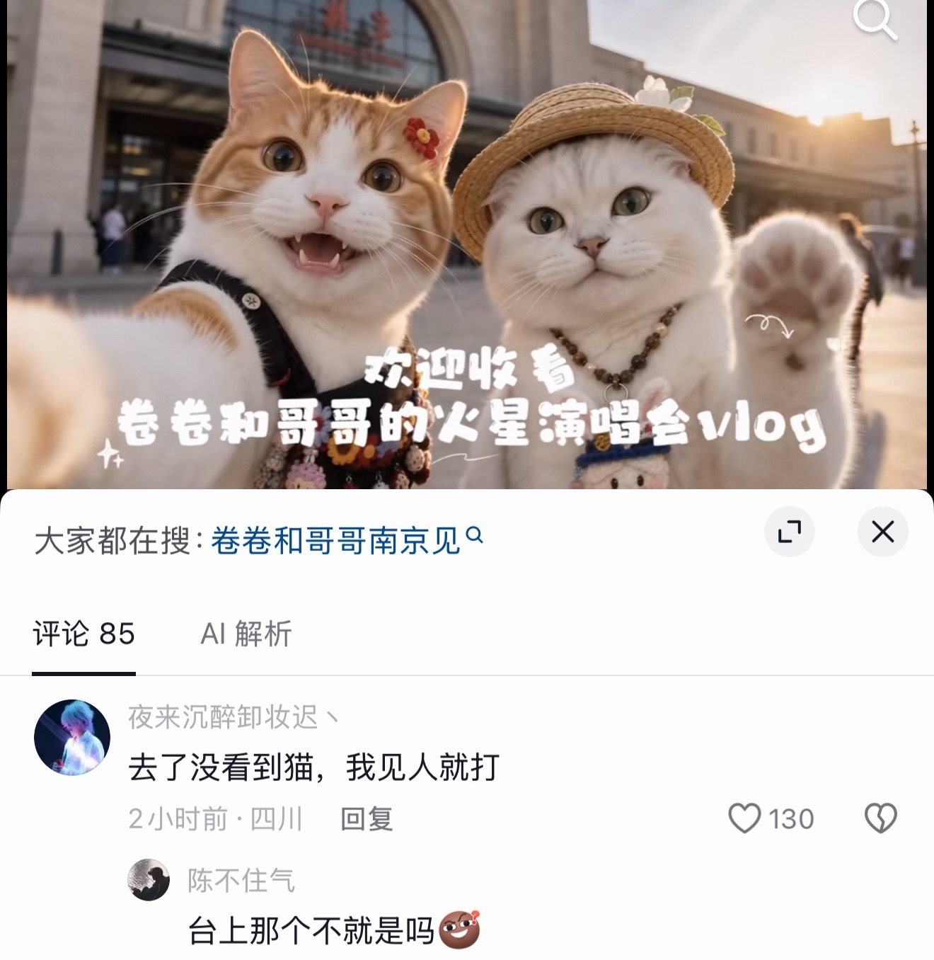没毛病，台上那只确实是萌🐈‍⬛ ​​​