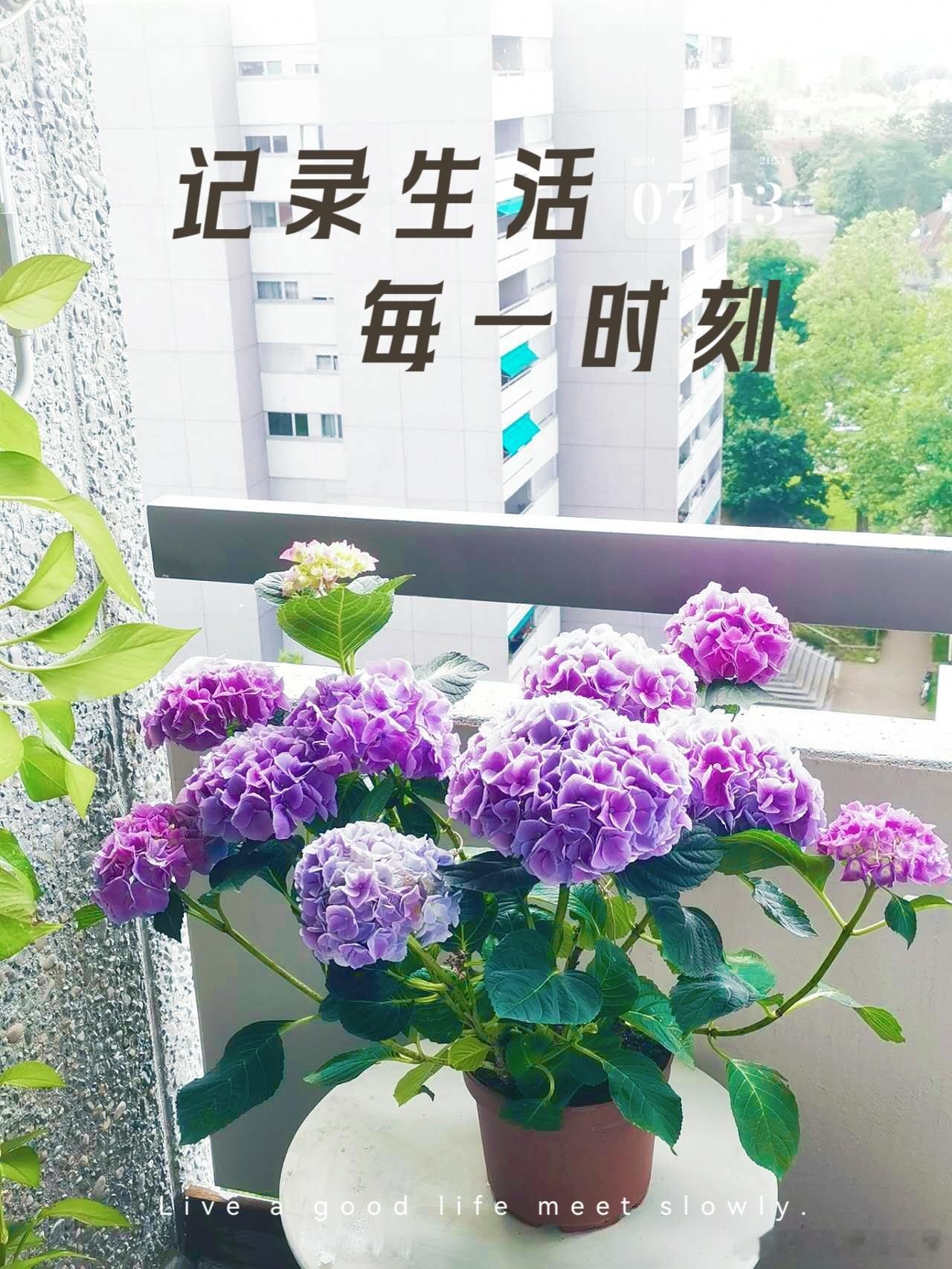 #早安# 周末快乐[鲜花][鲜花] ​​​