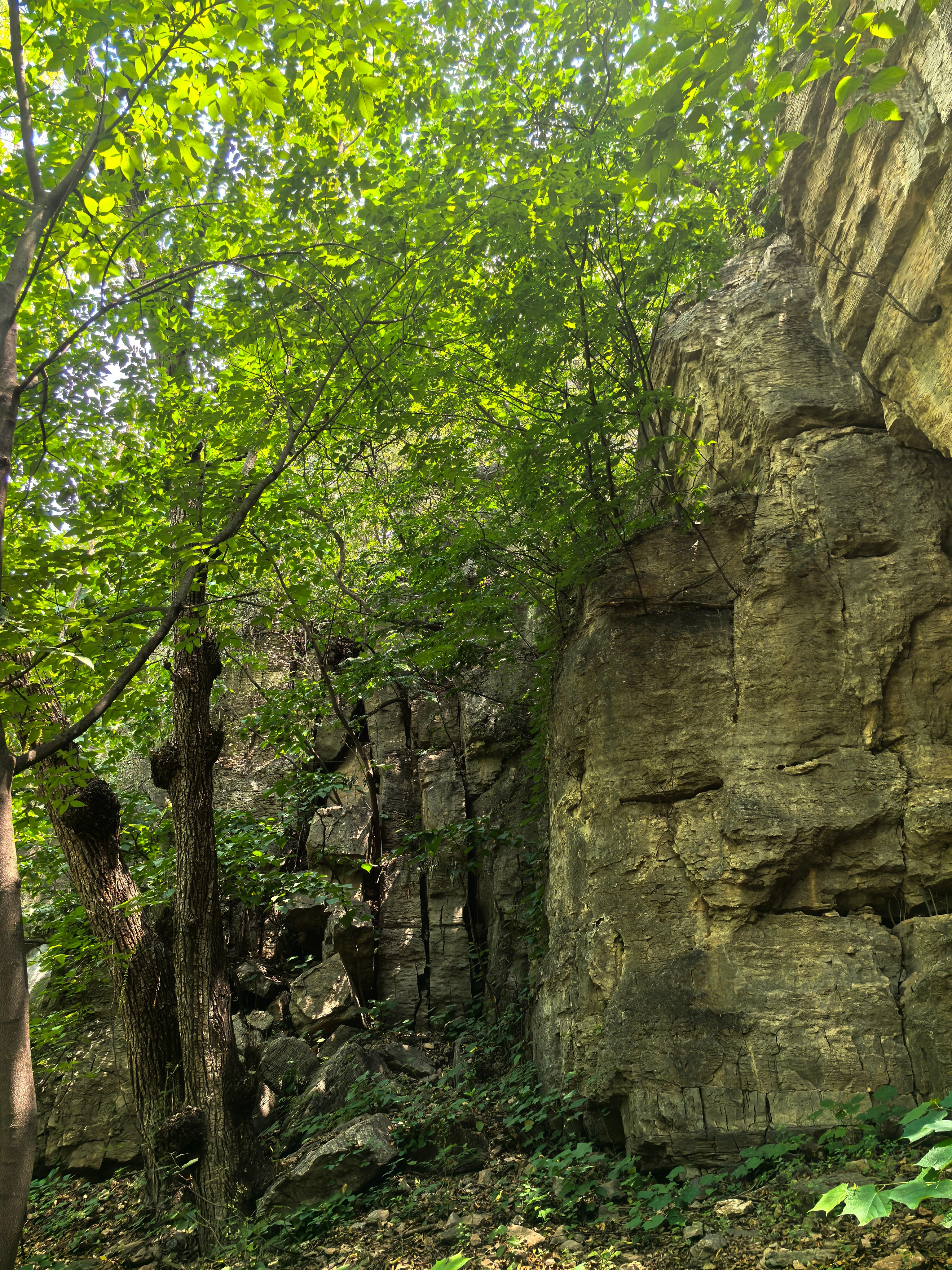 生活手记 这么热的天，出去爬了个山⛰️然后去农家乐吃了个鸡，然后打道回府了 