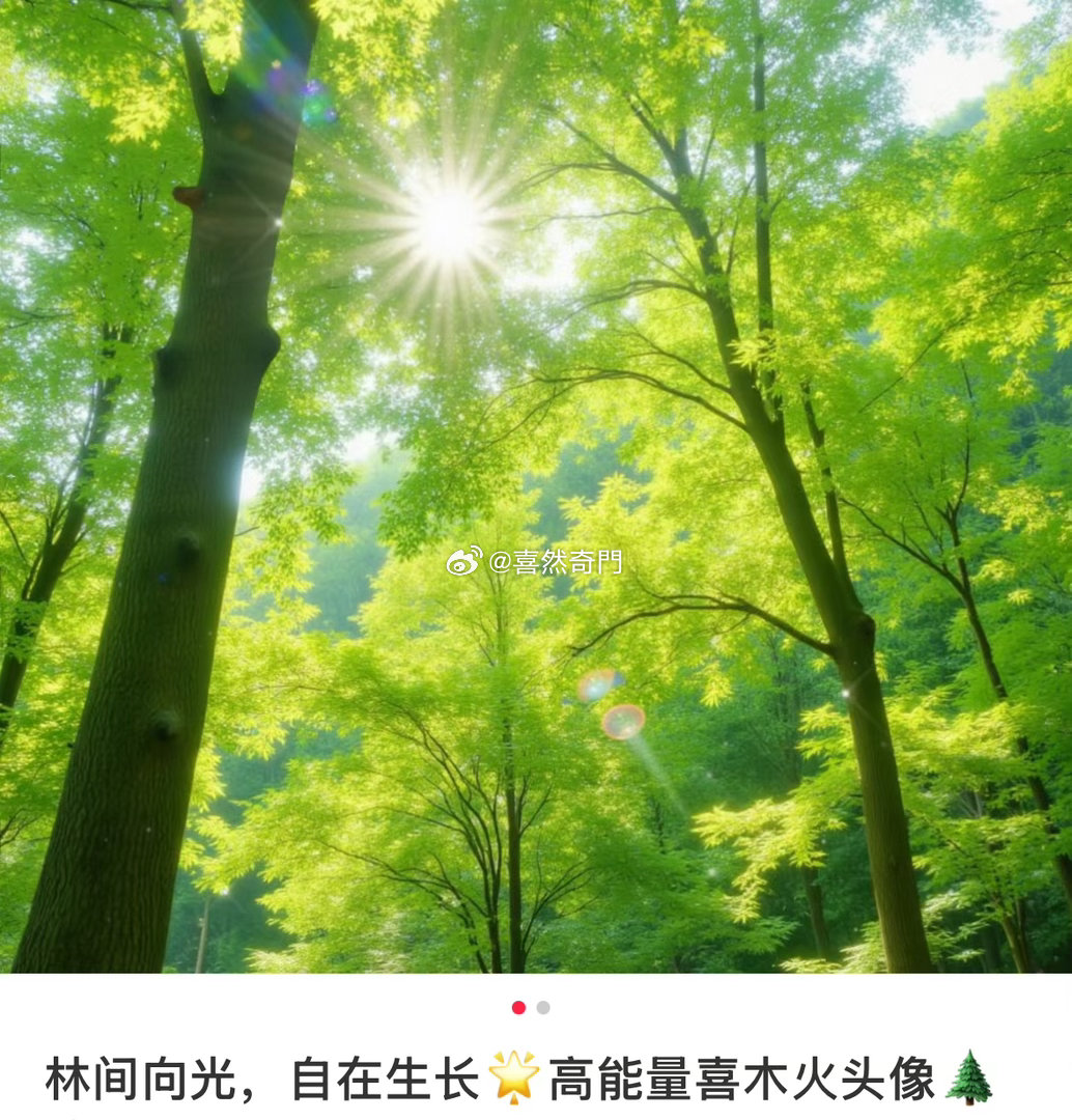 头像分析即使按八字喜木🪵但这个“象”也不好、遮天蔽日，虽然透出一道光、但树木太