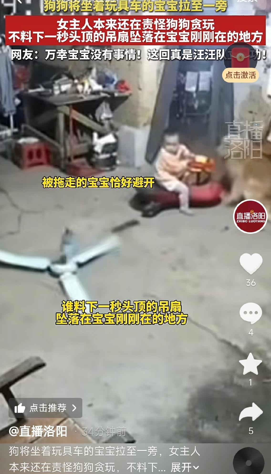 广东河源，一宝宝坐在玩具车上，在屋子中间玩耍，家里的金毛预判到有危险，突然跑过来