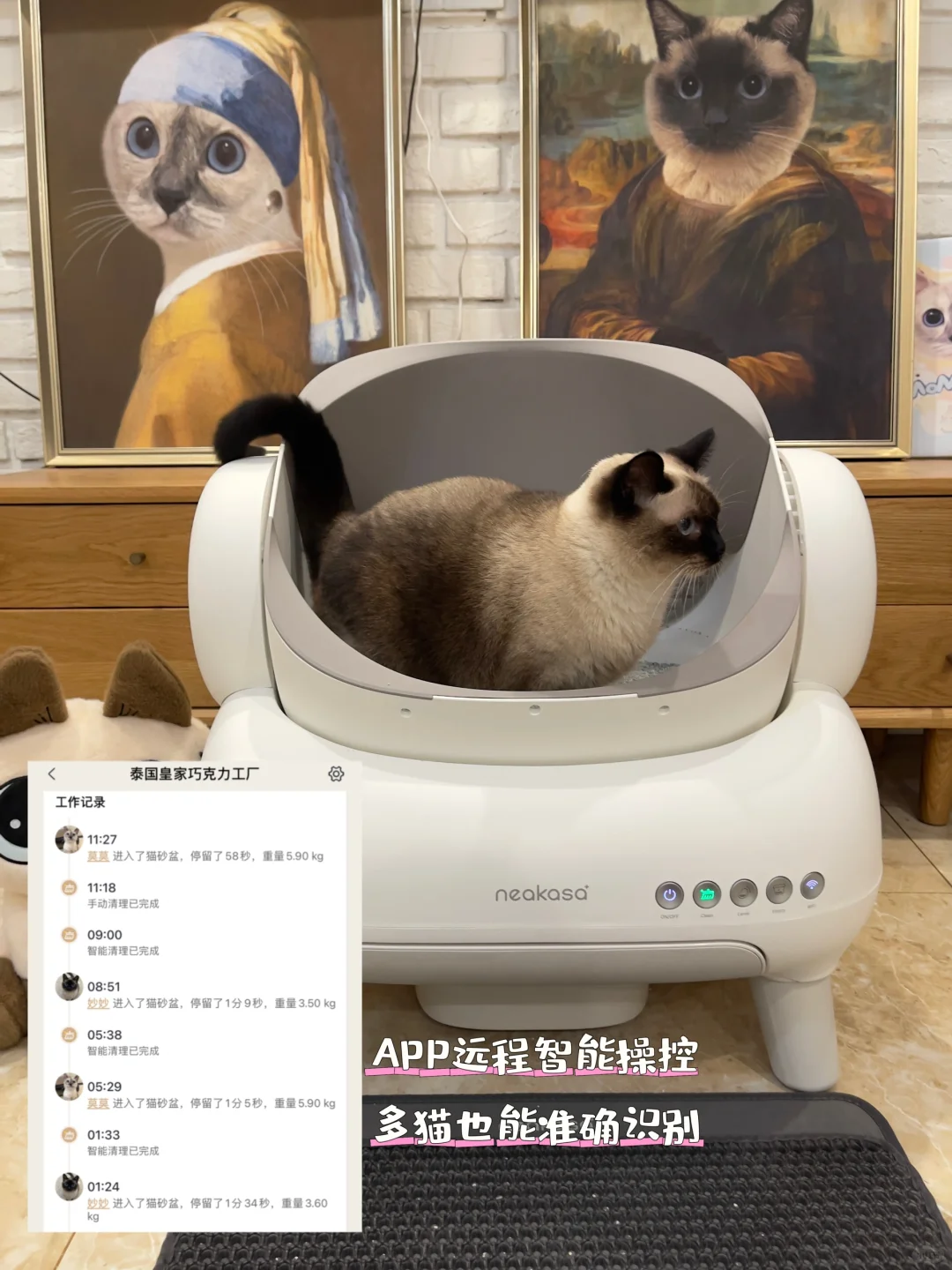 “可以不走吗🥺可以不离开小猫吗”