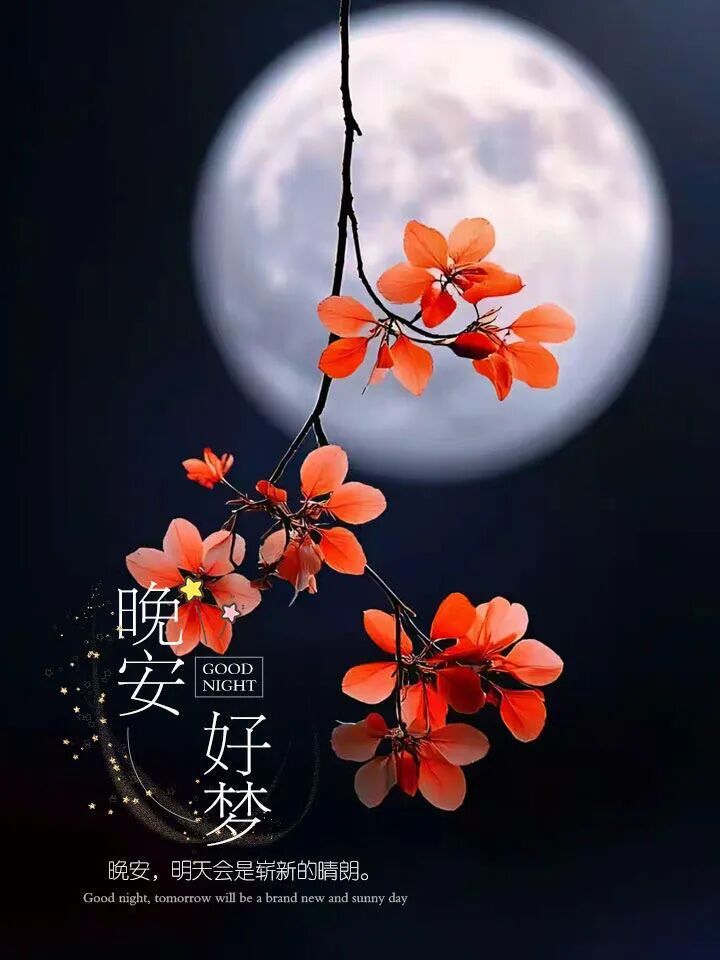 人人都在忙忙碌碌，疲惫是常态，只是有的人选择不说 