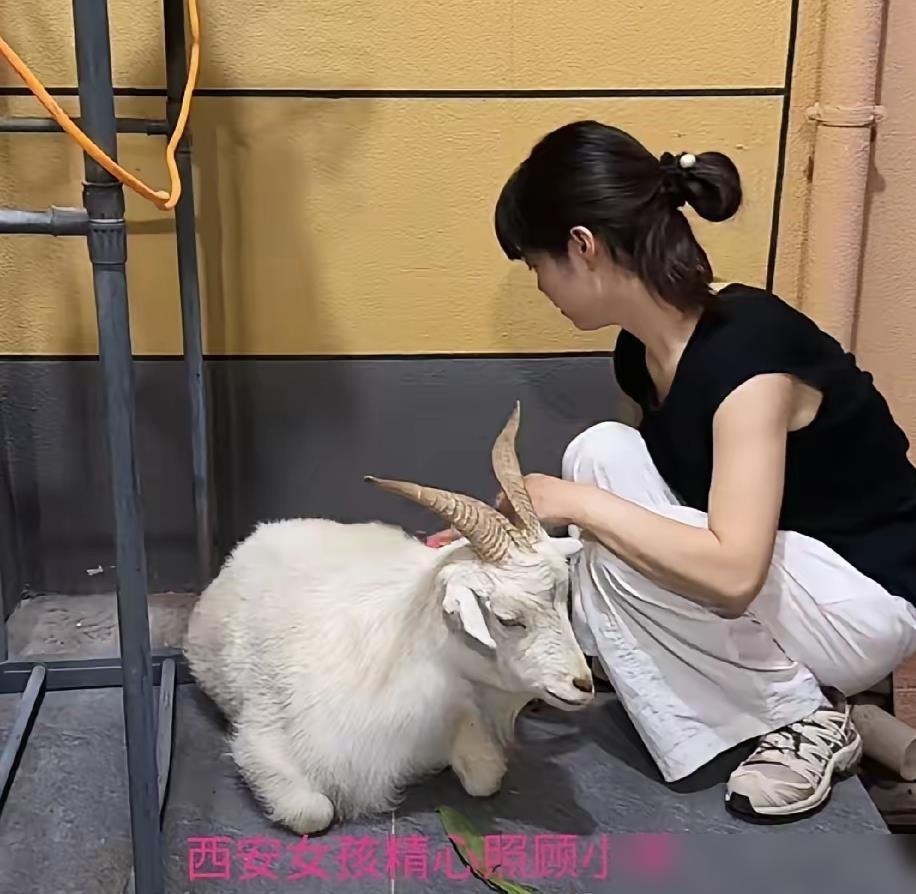 提前通知一下，大家好有个心理准备，7月27日就正式进入中伏第三天了，而且今年的中