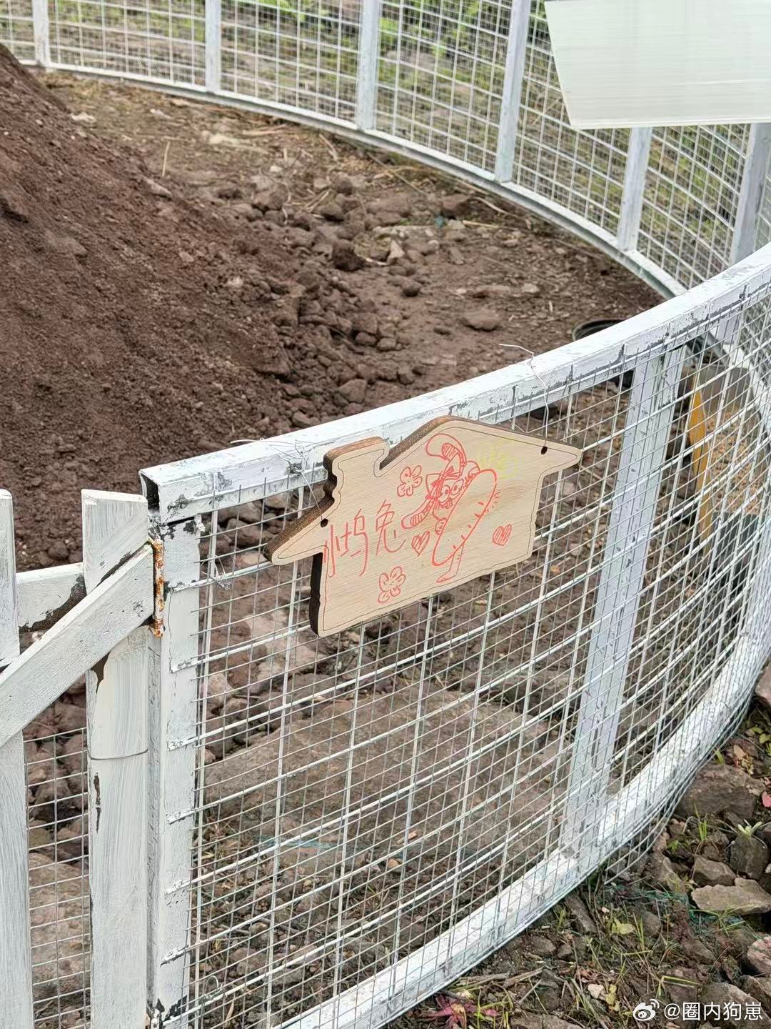 徐若晗去桃花坞养猪了救命！徐若晗在桃花坞养猪的画面也太好笑了，从剧透漏勺到养猪达