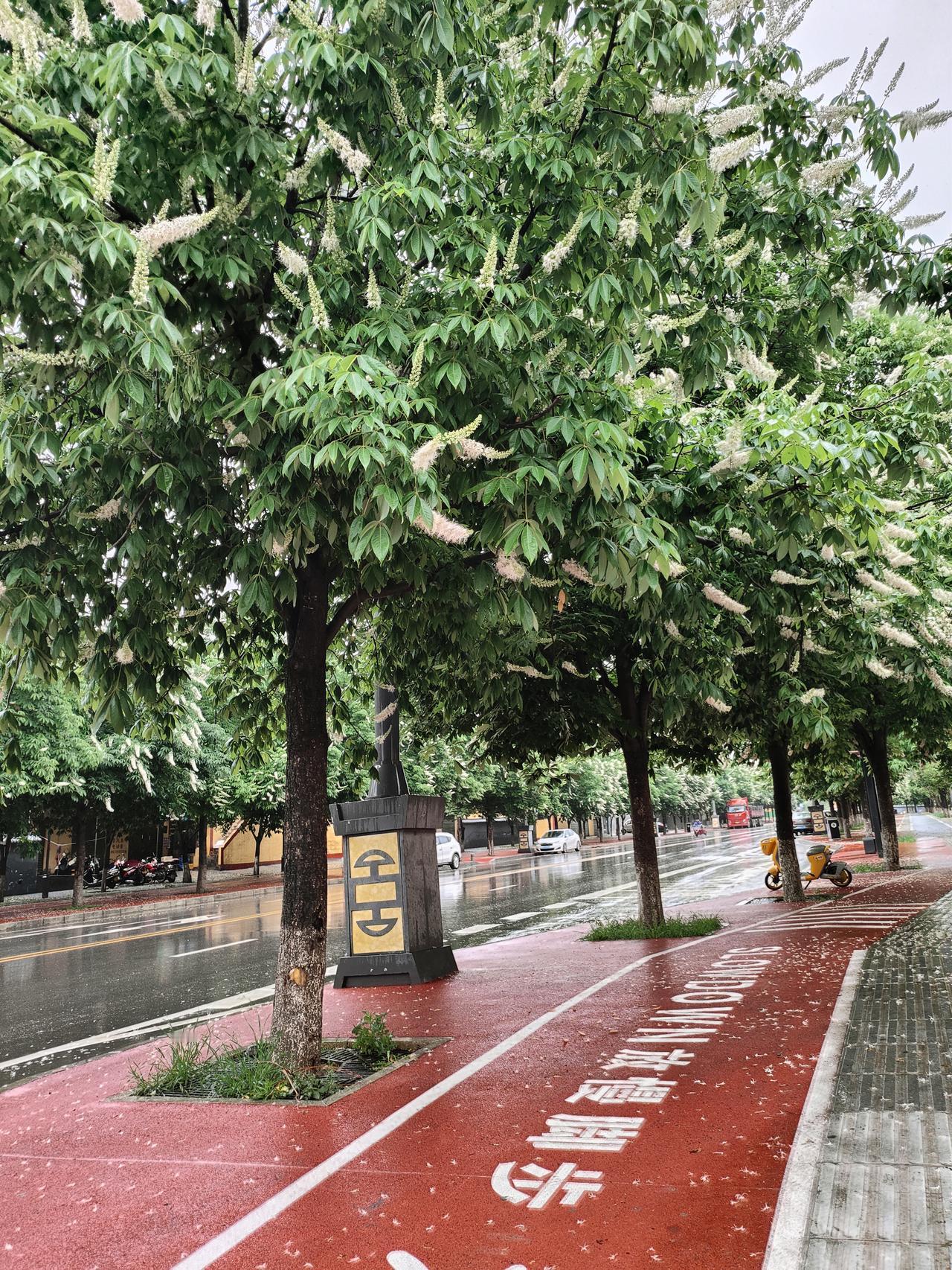 清风携着湿润的气息，枝叶葱郁，碎花铺路。
放慢脚步，在烟火街巷里，接住一整个温柔