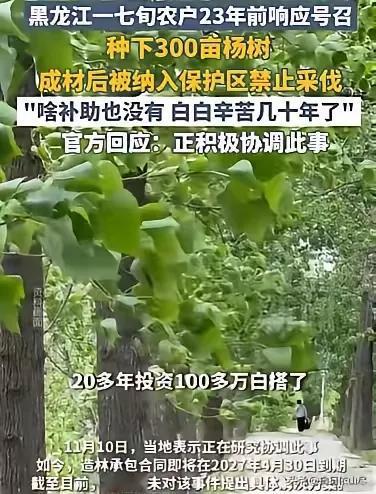 黑龙江齐齐哈尔市，72岁农妇，在23年前，种了300亩杨树，有数万颗，投资了10
