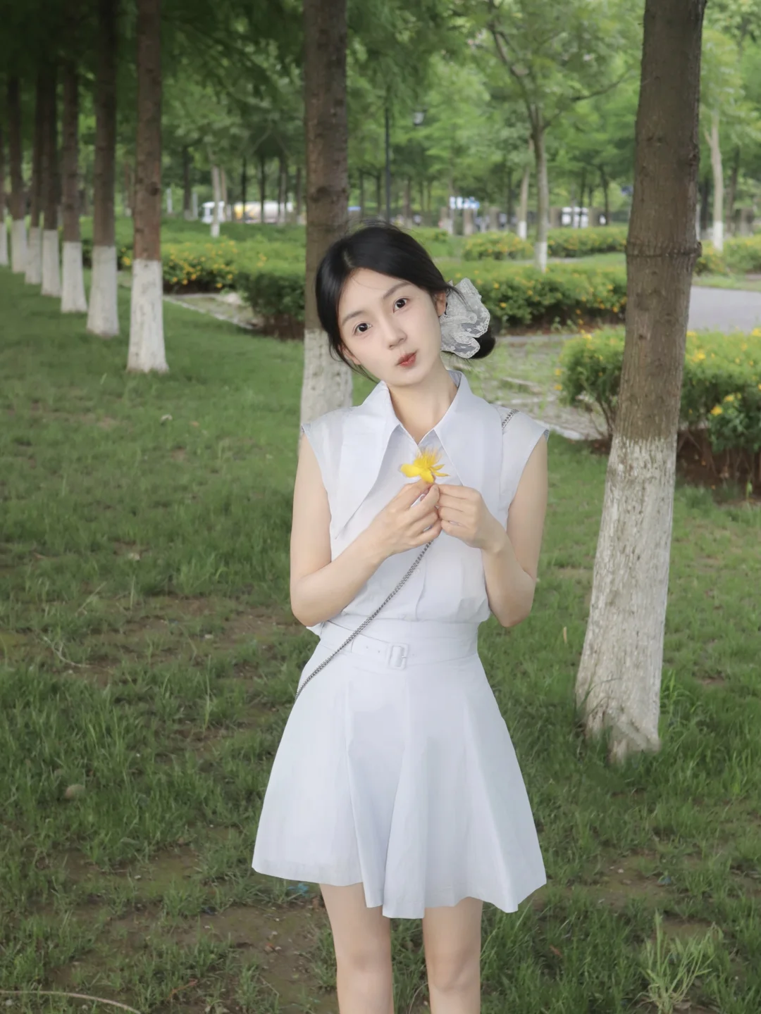 故事的小黄花🌼