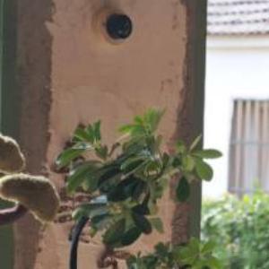 时光最是公平，它会带走执念，也会带来通透。愿我们都能学会与“变化”和解，不困于一