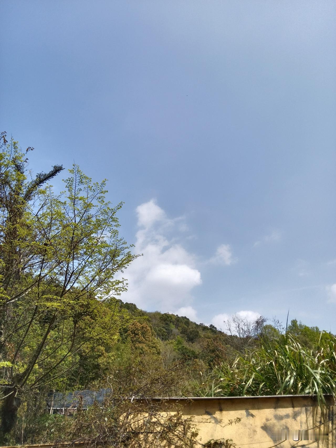 人生在世,最大的失败是什么? 人生在世，最大的失败是什么？皖北地区有句骂人的狠话