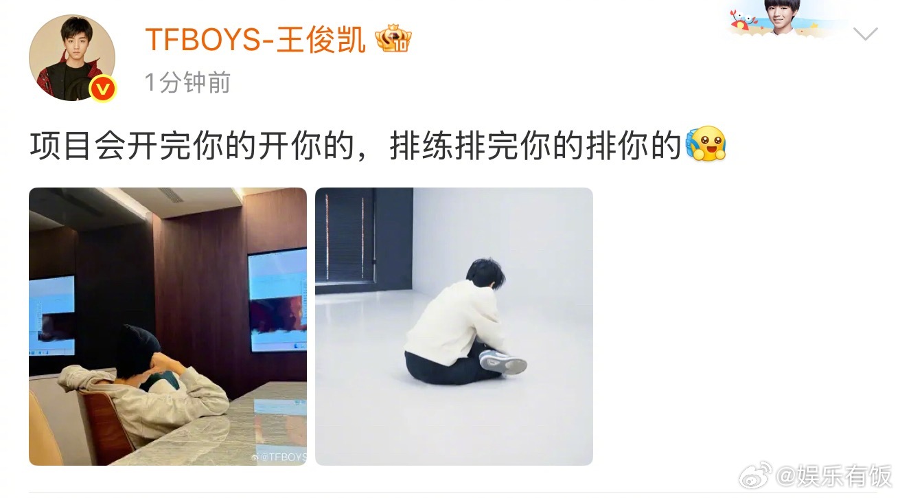 王俊凯上班主理人  太可爱啦这只小凯，“项目会开完你的开你的，排练排完你的排你的