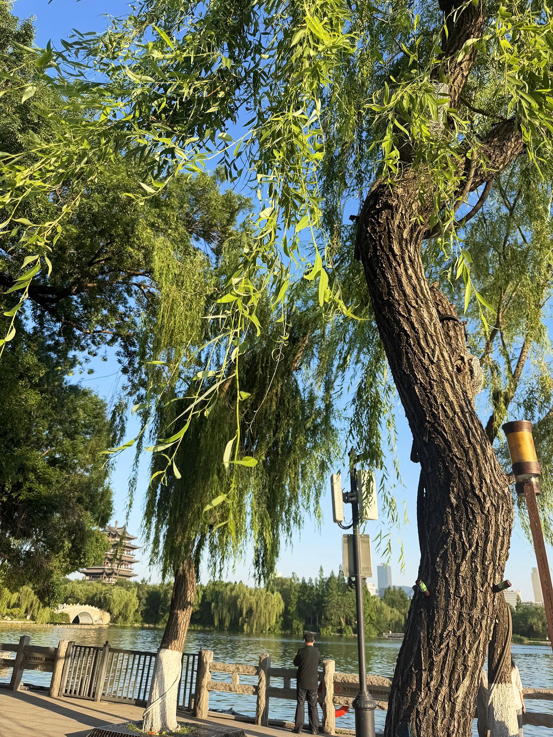 真正拖垮你的，从来不是劳累，是藏在身体里的“虚火”  你有没有发现一个...