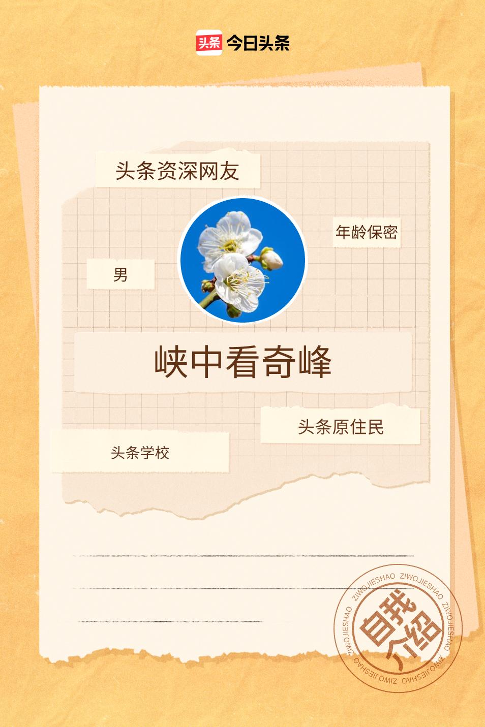 入驻头条已经两年多了，一路走来踩过不少坑，也收获了很多成长。刚入门的时候，对平台