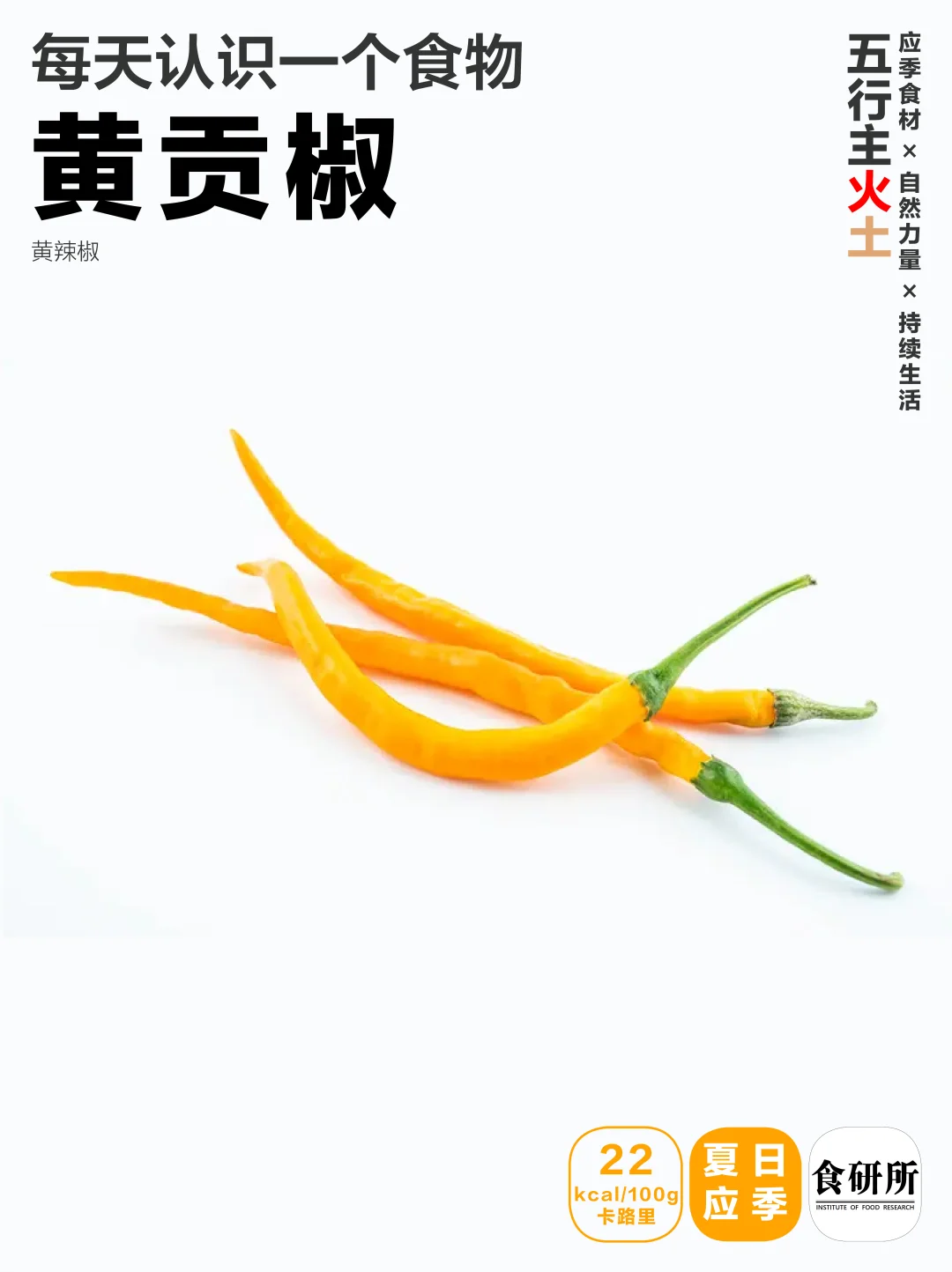 湖南夏日鲜辣 | 黄贡椒