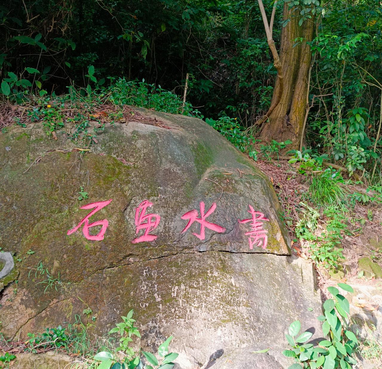 昨天去碧海湾遛弯，看见这几幅字应该怎么念呢？有认识的老师告诉我