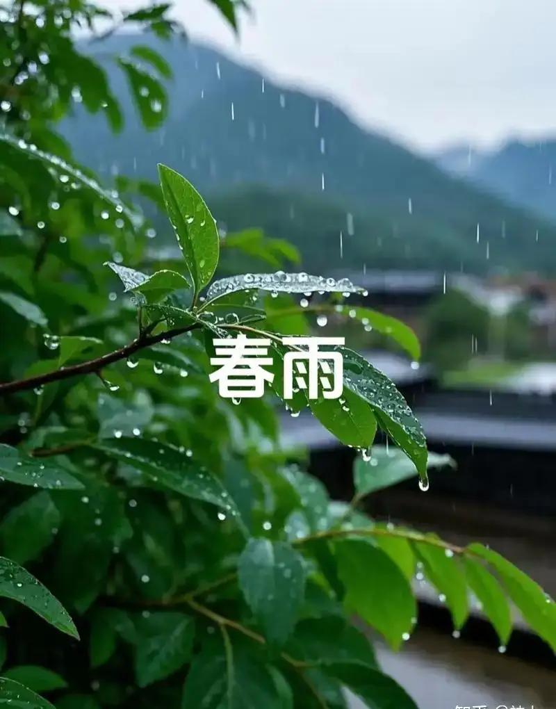 在浩瀚的中华大地上，二十四节气如同一部宏伟的史诗，展现了先民们“顺天应时，天人合