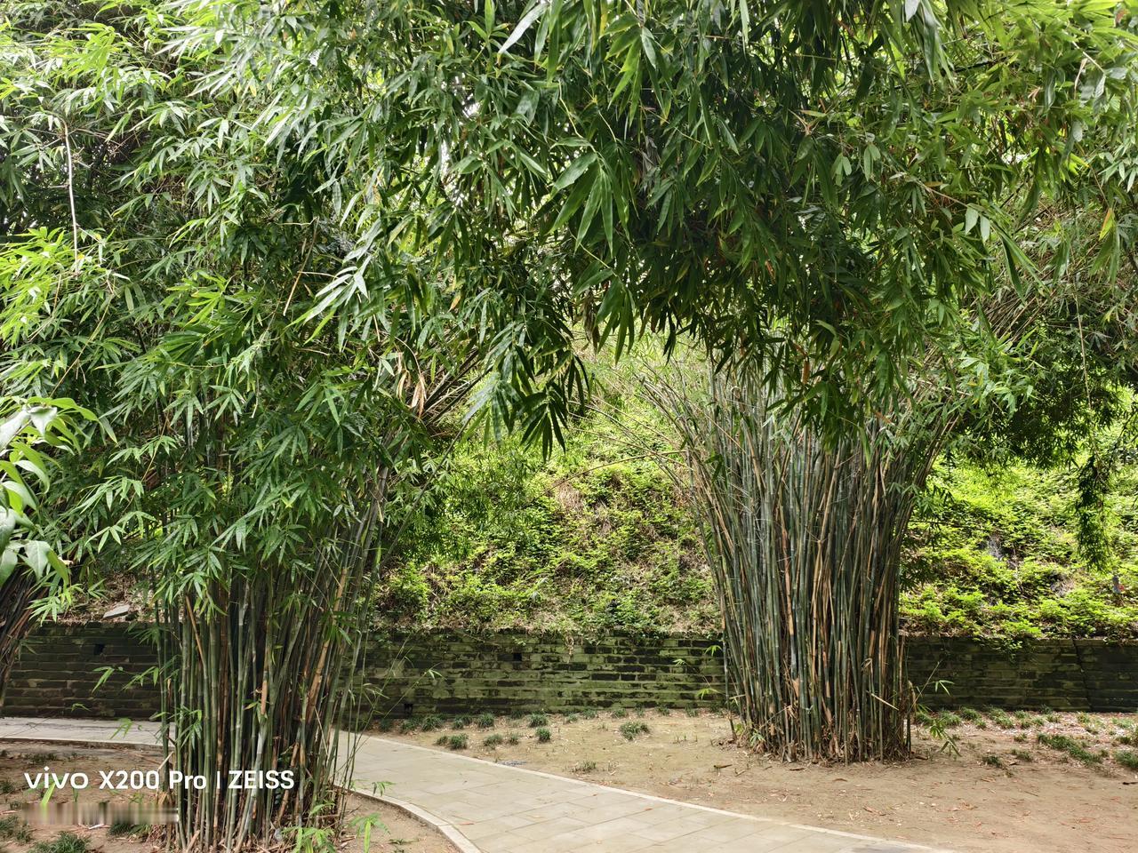 发一张图片，让我猜出你在哪里拍的这是在襄阳的仲宣楼拍的，今天早上我来到这里，在这