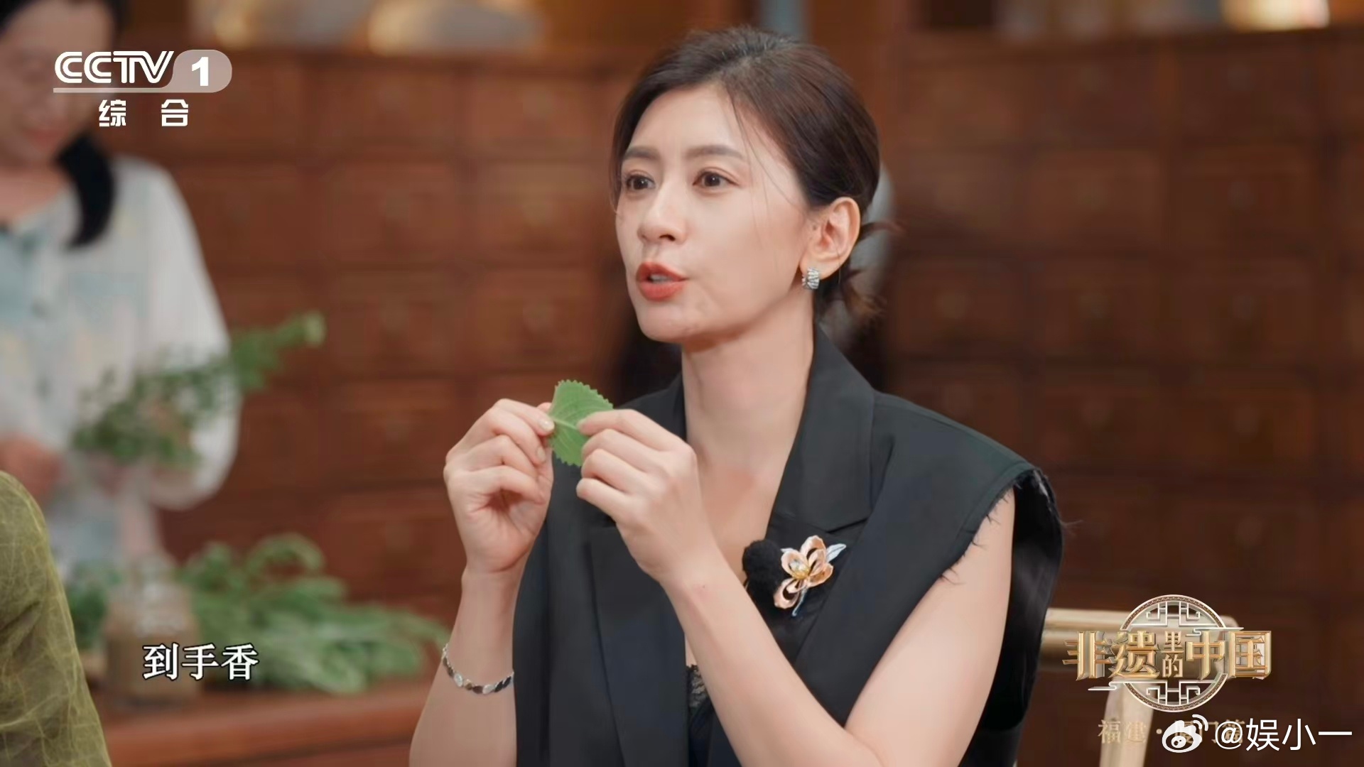 在闽南随手就可能采到草药烧仙草竟是草做成的 去闽南朋友家做客，她带我去后山 “挖