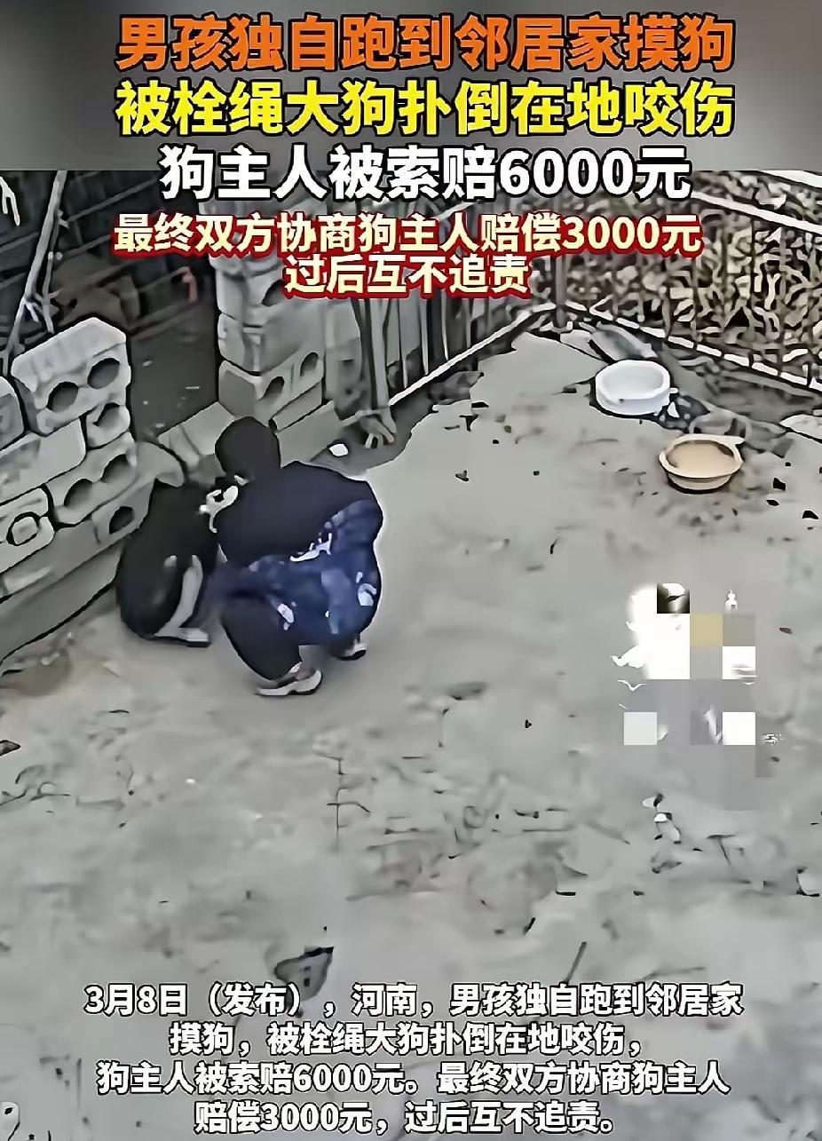 “你家狗咬人，赔6000！”河南6岁娃摸狗被咬，狗主人一番话，网友吵翻了……
有