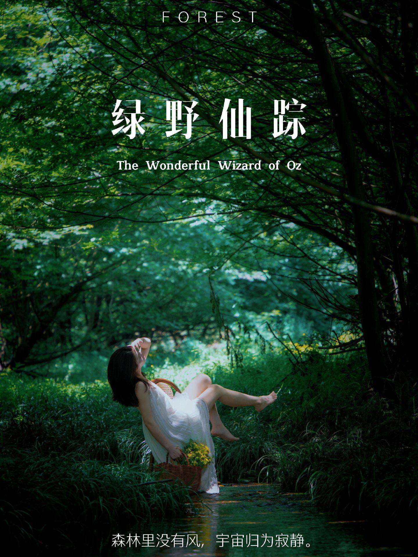 在仙居永安溪湿地发现一片密林.....在这个快节奏的世界里，我们都渴望寻找一片属于自己的秘密森林。那里没有喧嚣，没有压力，只有大自然的宁静与美丽。
    地址图片最后，我用航拍仔细标注了车子开下去的路线！希望能帮到大家🙃，堵路了我不负责，车位有限！