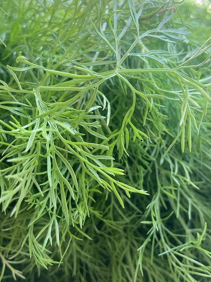 身边不少家长纠结要不要送娃去练武术，我是直接拍板送了，练了半年真的不亏。
之前娃