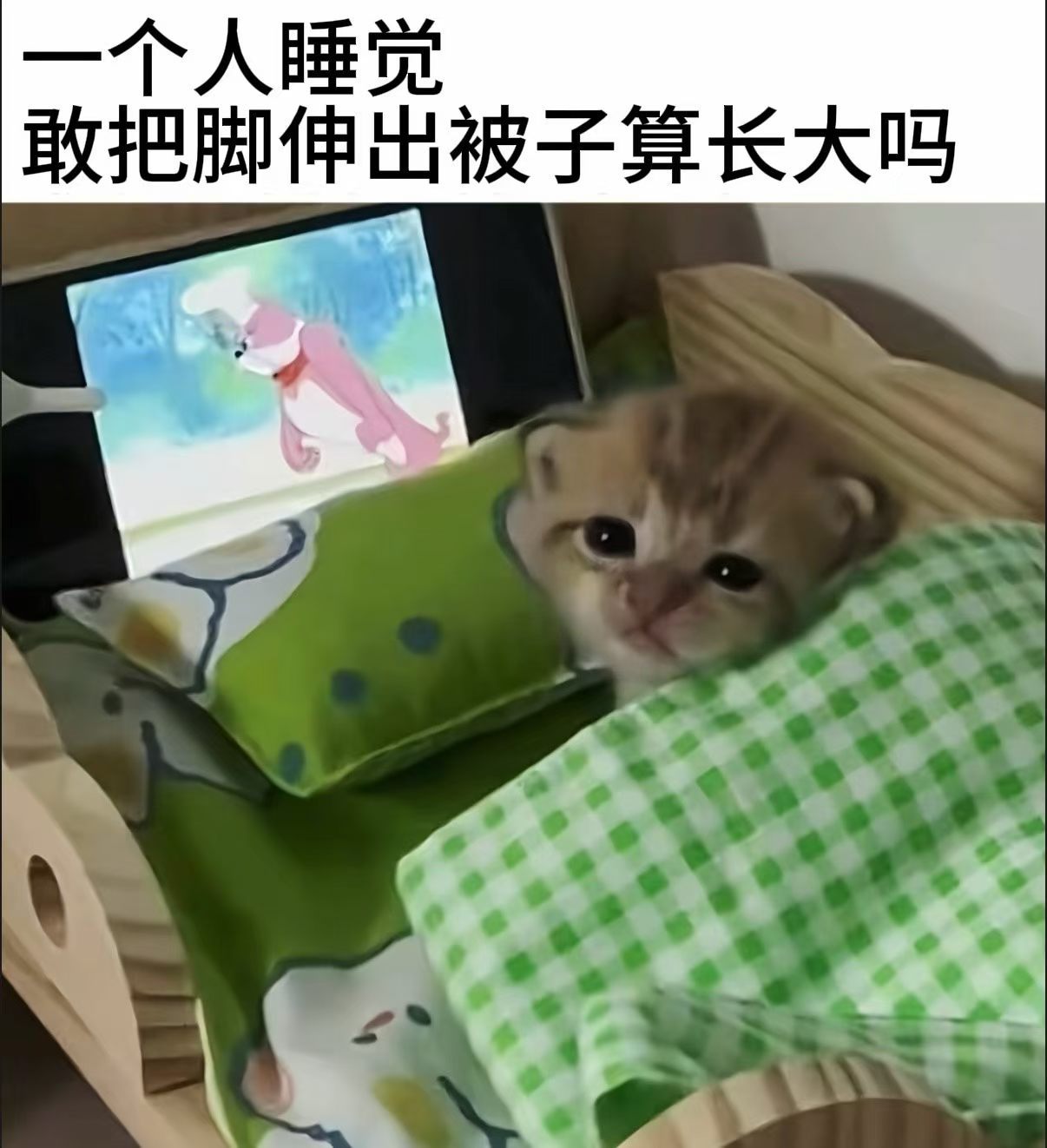 分享图片 