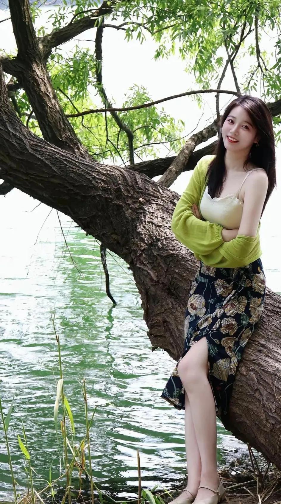 杨柳依依！