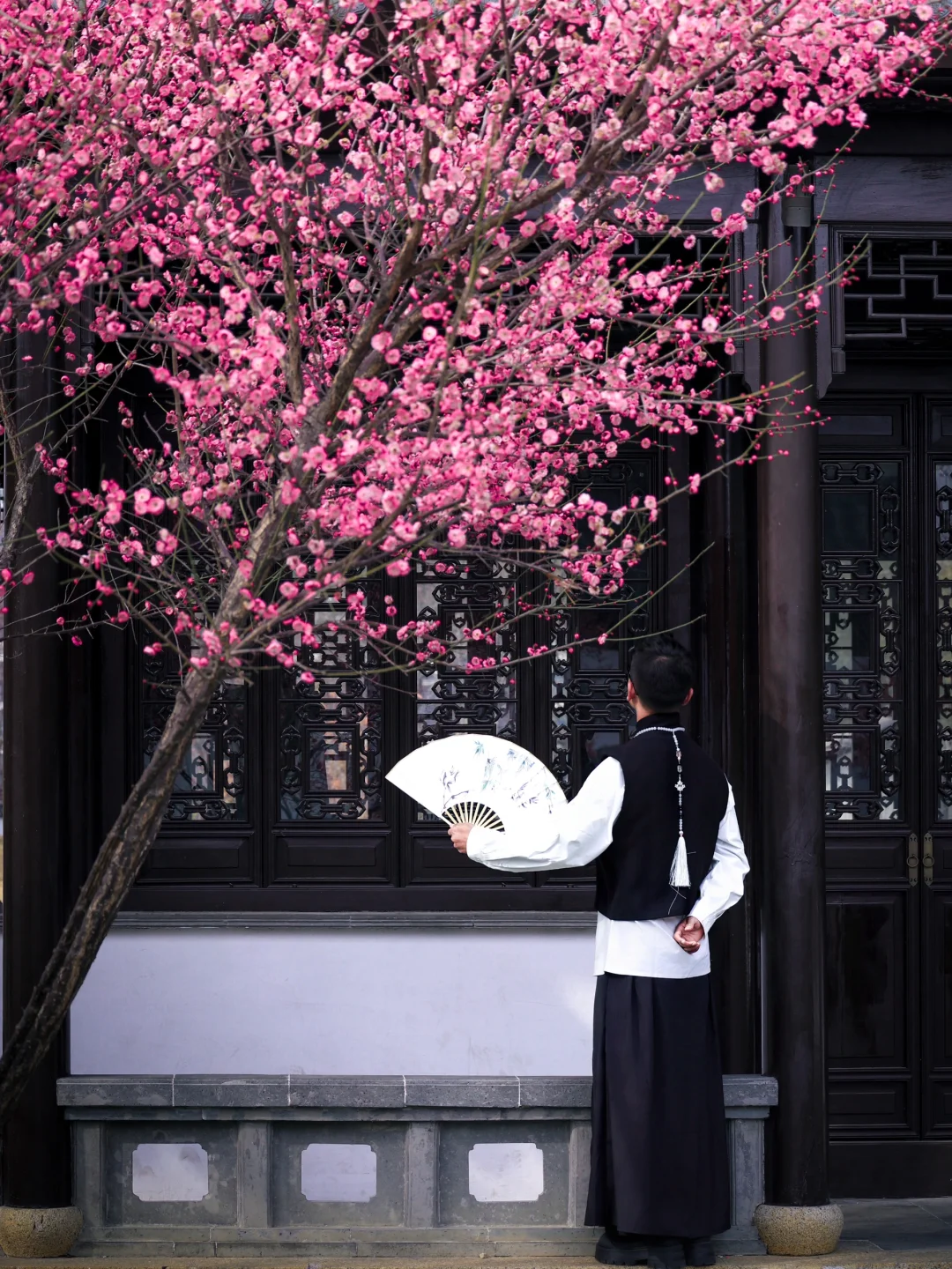 苏州赏梅｜这里人少❗️景美❗️还免费‼️冲了❗️