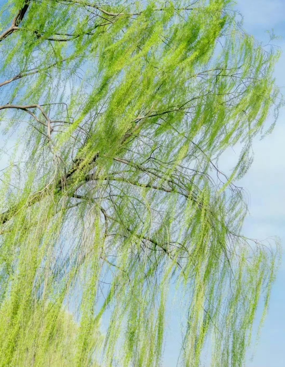 “谁能尽情享受瞬间的快乐，谁总是生活在现在，不瞻前顾后，那么生活就不能损害他一丝