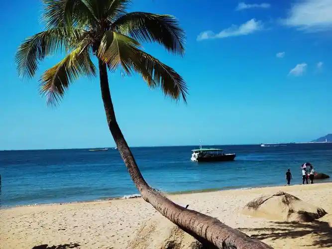 新年爱好打卡，这氛围简直绝了！在海南，过年到处都是喜庆装扮。去华为授权店，那摆台